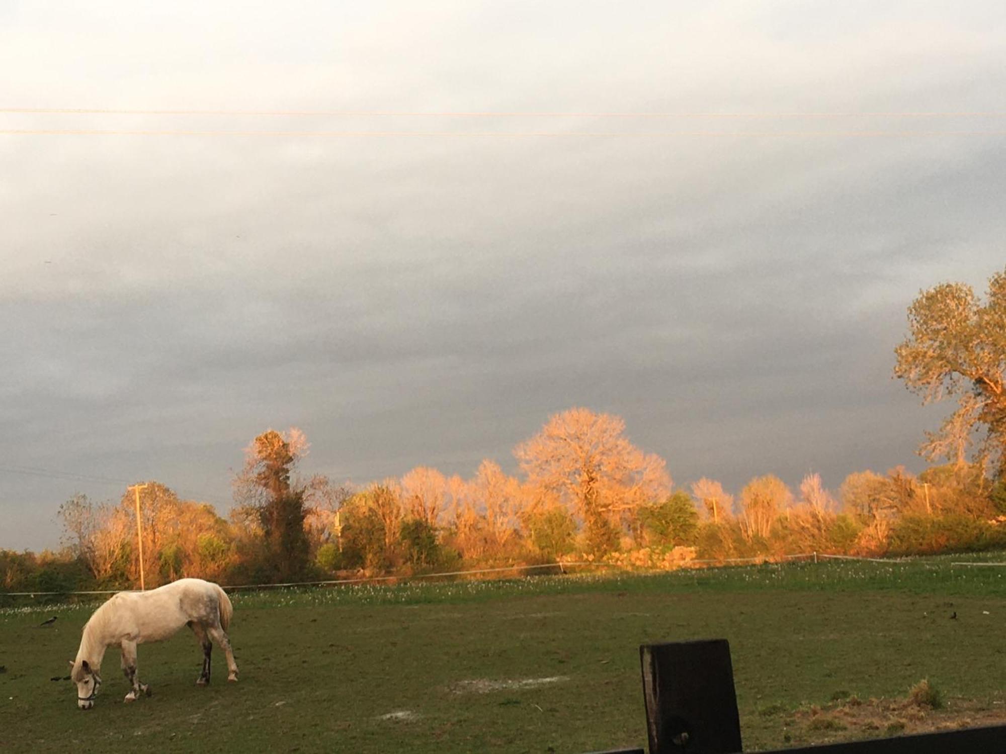 Luxury Country Escape Lejlighed Ennis Eksteriør billede