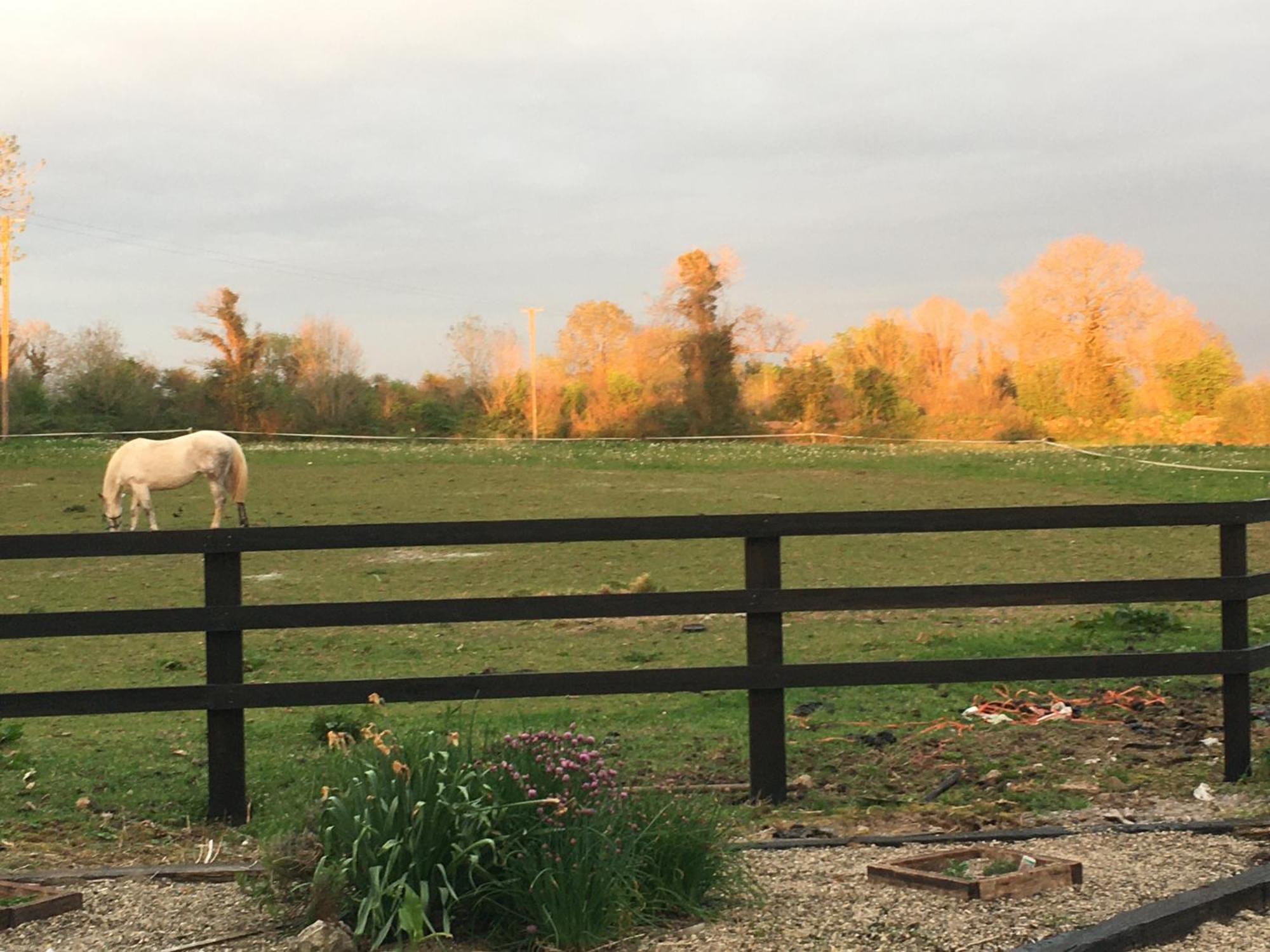 Luxury Country Escape Lejlighed Ennis Eksteriør billede